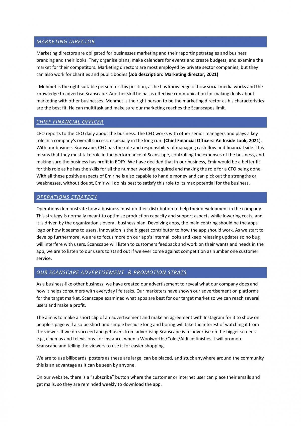Business Plan Full  - Page 6