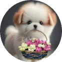 Sheela Naaraoyana's picture